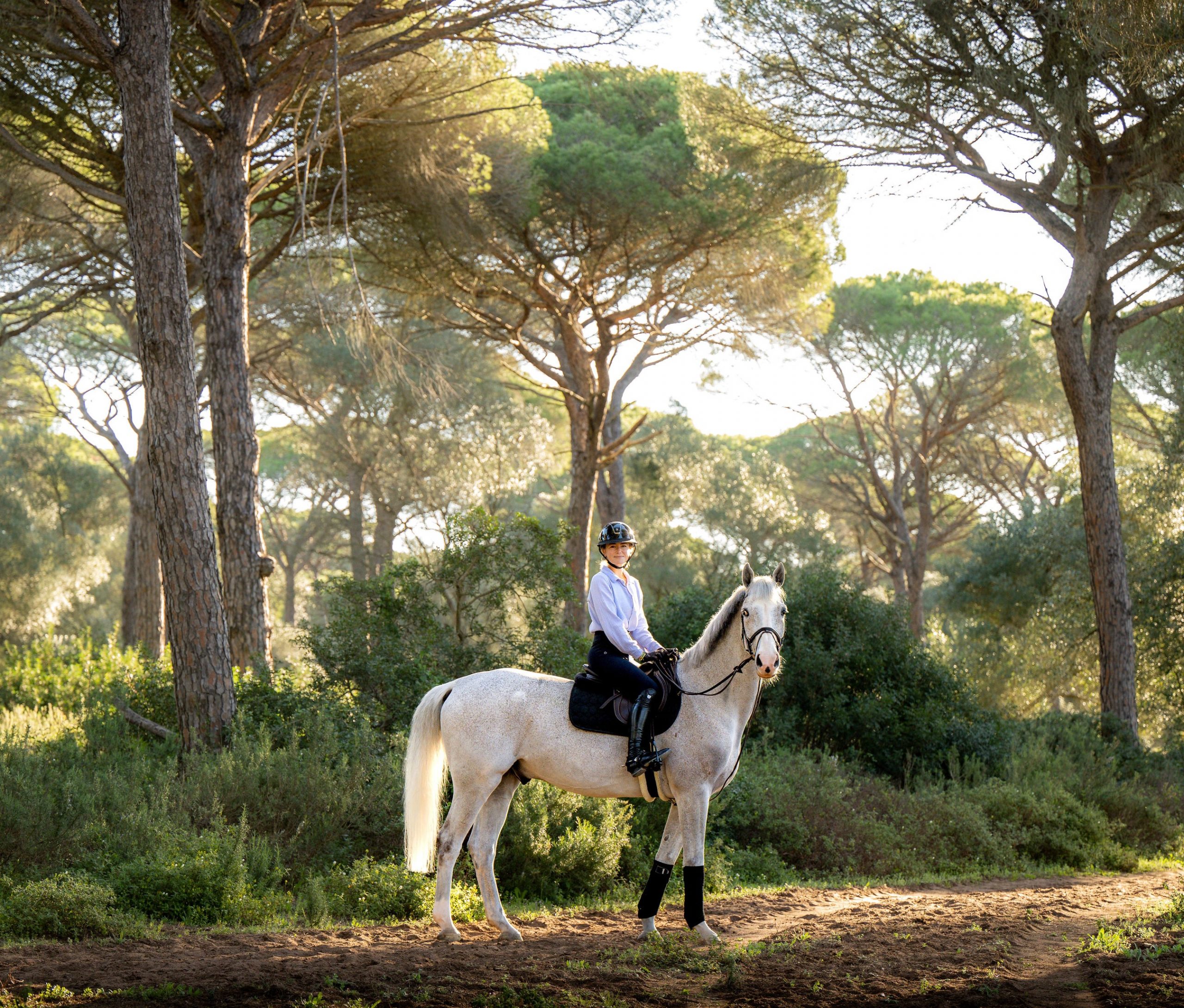 Horse Thumbnail