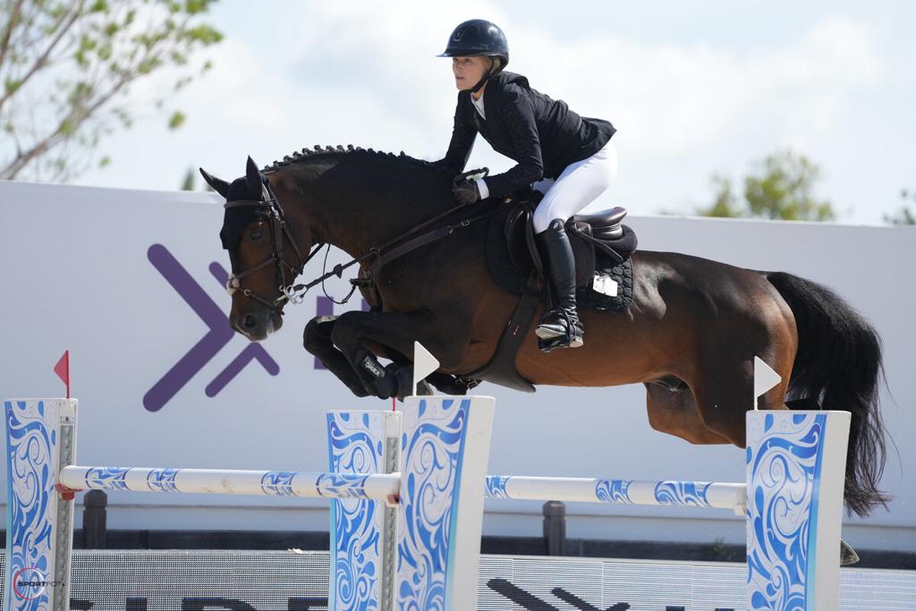 Horse Thumbnail