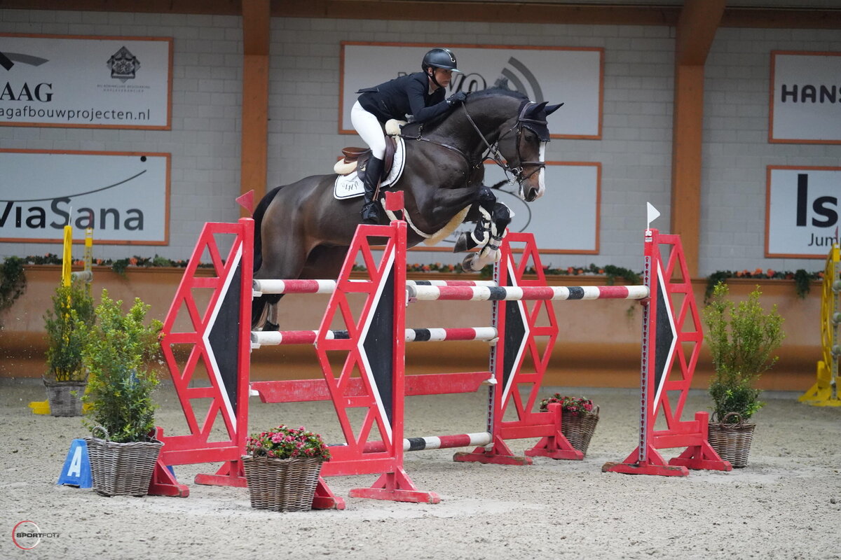 Horse Thumbnail