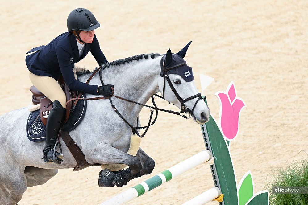 Horse Thumbnail