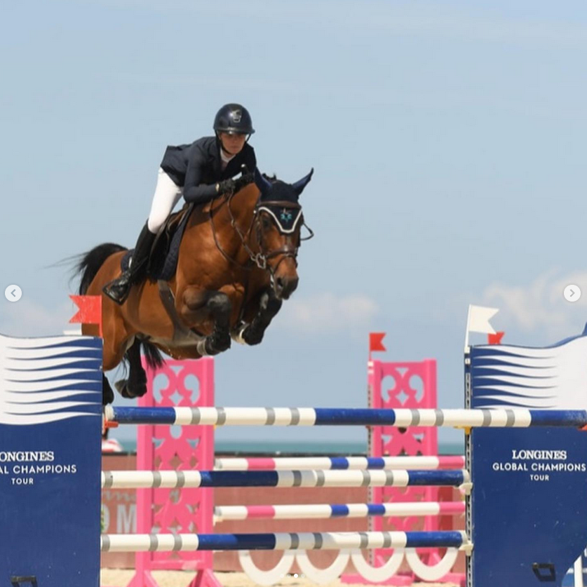 Horse Thumbnail