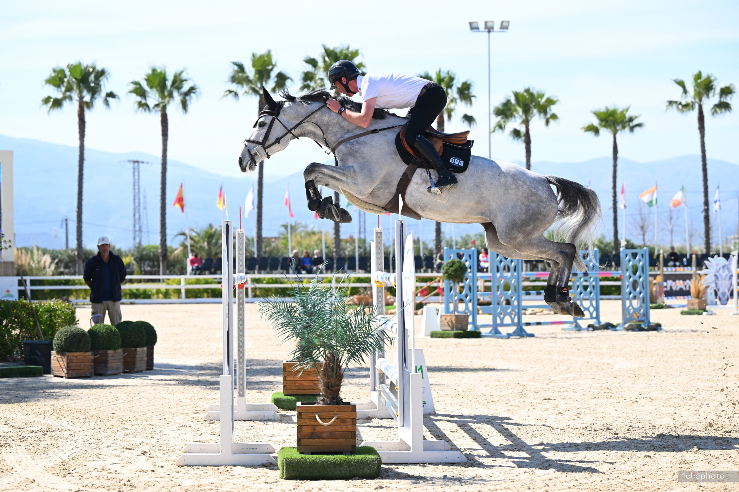 Horse Thumbnail