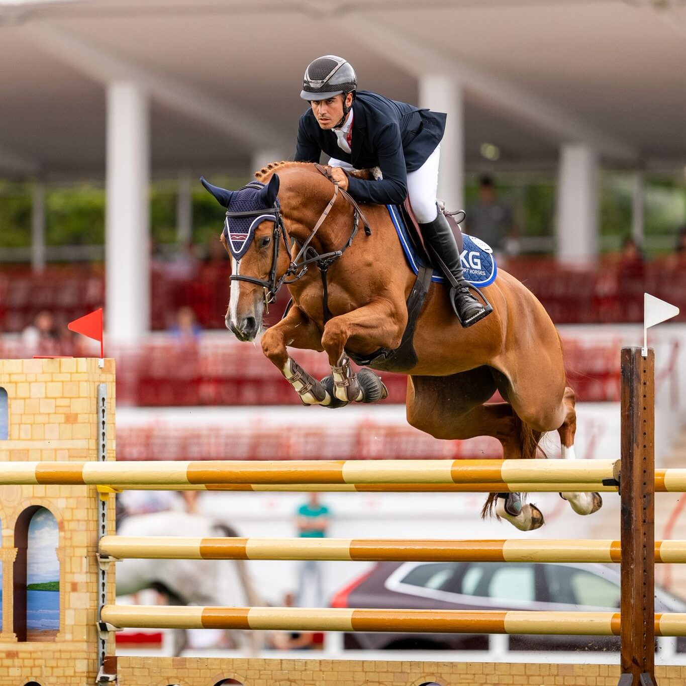 Horse Thumbnail