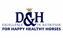 D&HLogoFebruary2025